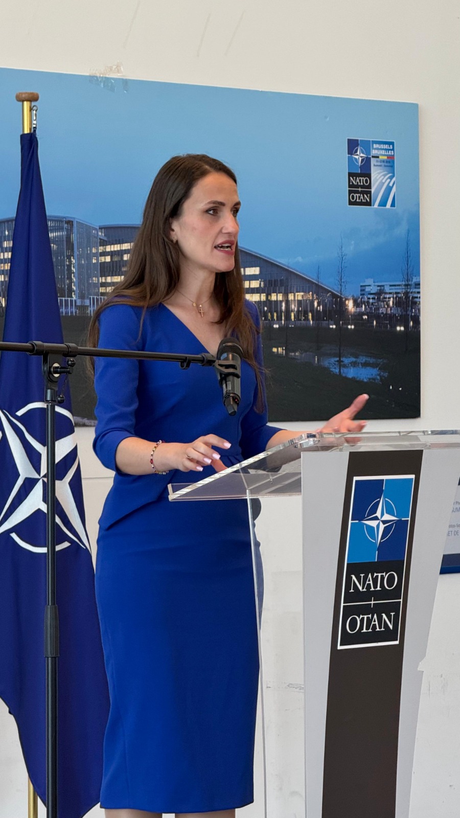 Bucureştiul va găzdui în premieră pentru Europa de Sud-Est Simpozionul Anual NATO pe teme hibride