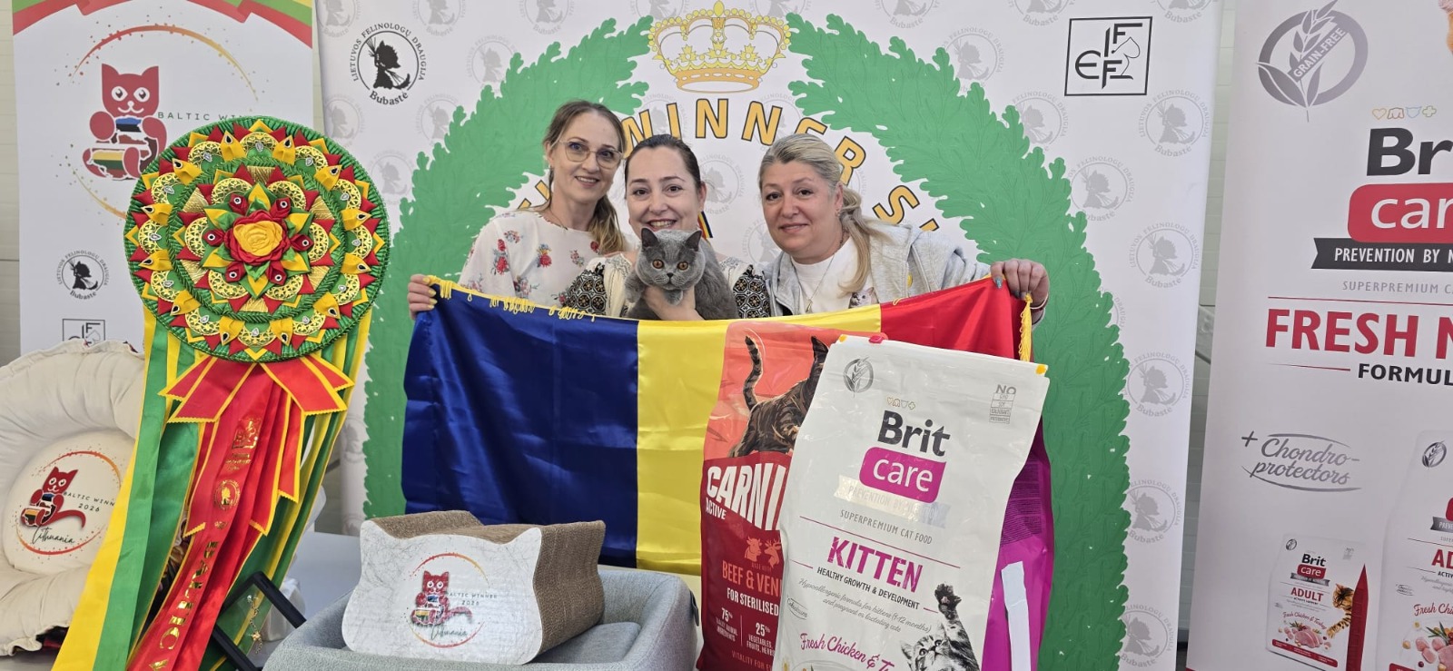 Pisicile crescătorilor români au impresionat la Cupa Ţărilor Baltice