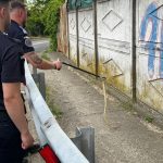 Galaţi: Întâlnirea cu un şarpe de 2 metri a speriat un grup de copii pe biciclete