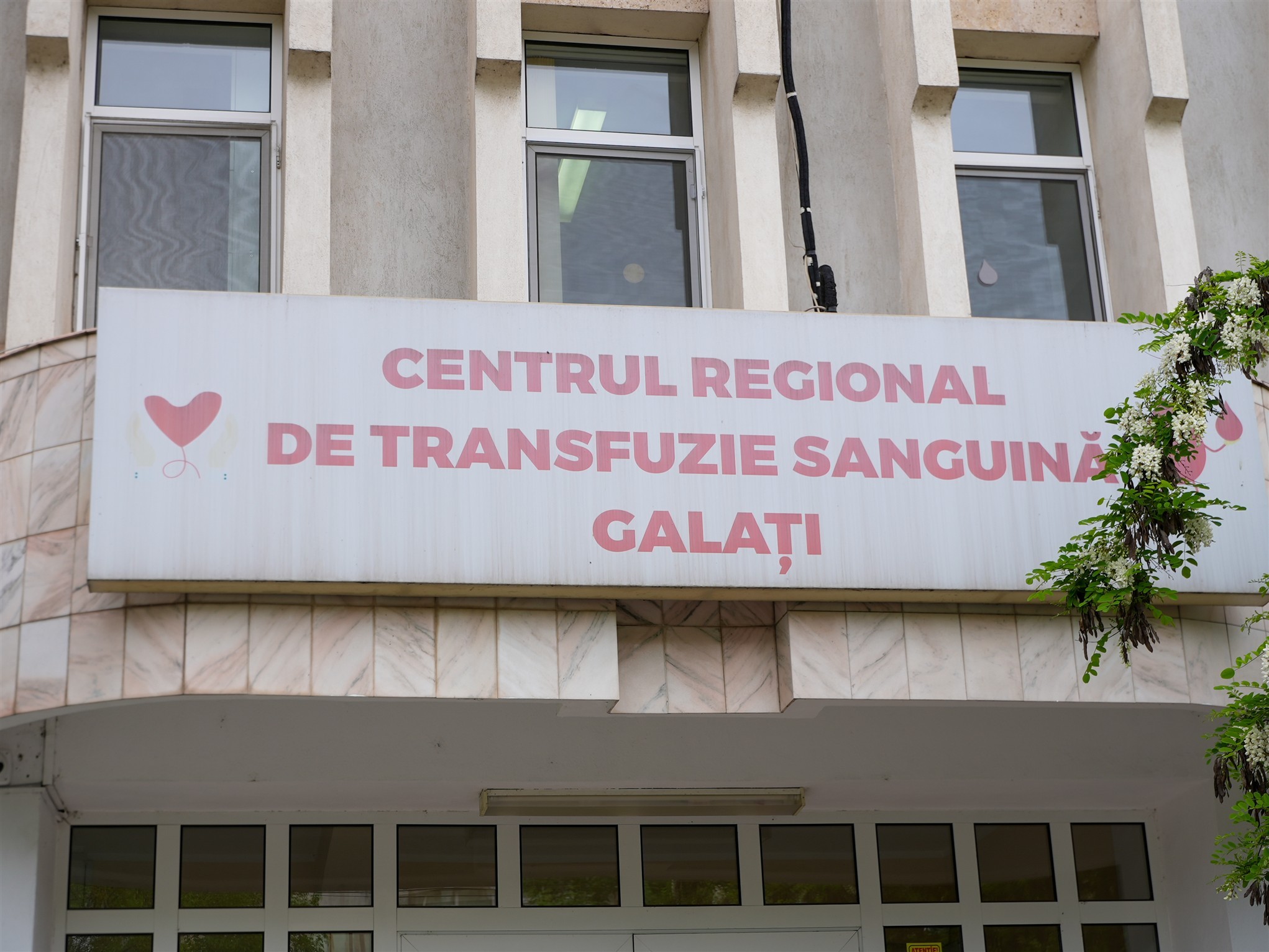 Voluntarii Crucii Roşii Galaţi donează sânge pe 11 iunie: „Faci bine, te simţi bine. DONEAZĂ! Sânge pentru viaţă”
