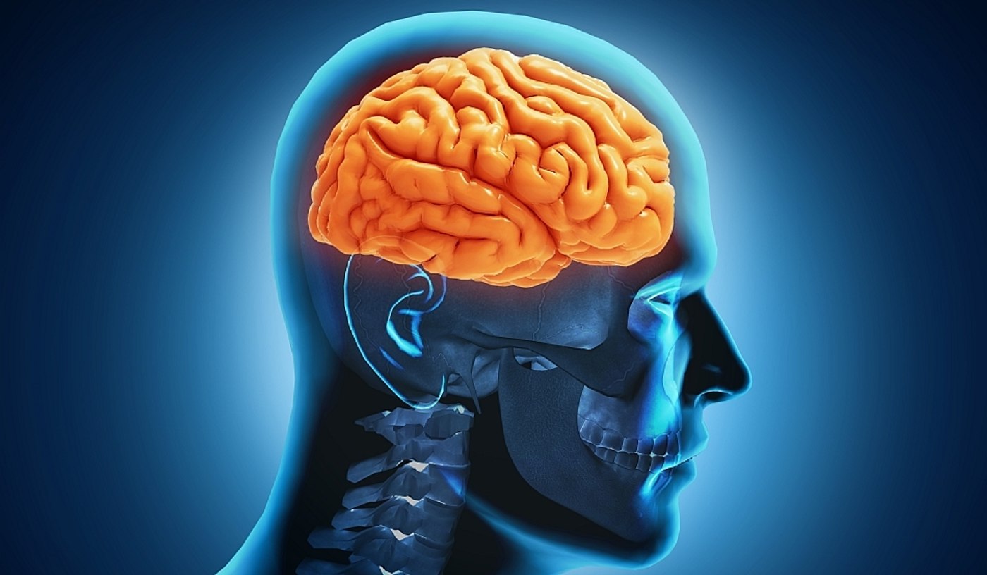 Neurocercetătoare: Nu percepem realitatea aşa cum este, ci prin filtrul propriilor experienţe
