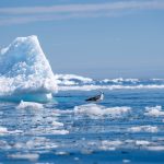 Avertisment sever al climatologilor: Încălzirea globală atinge niveluri record