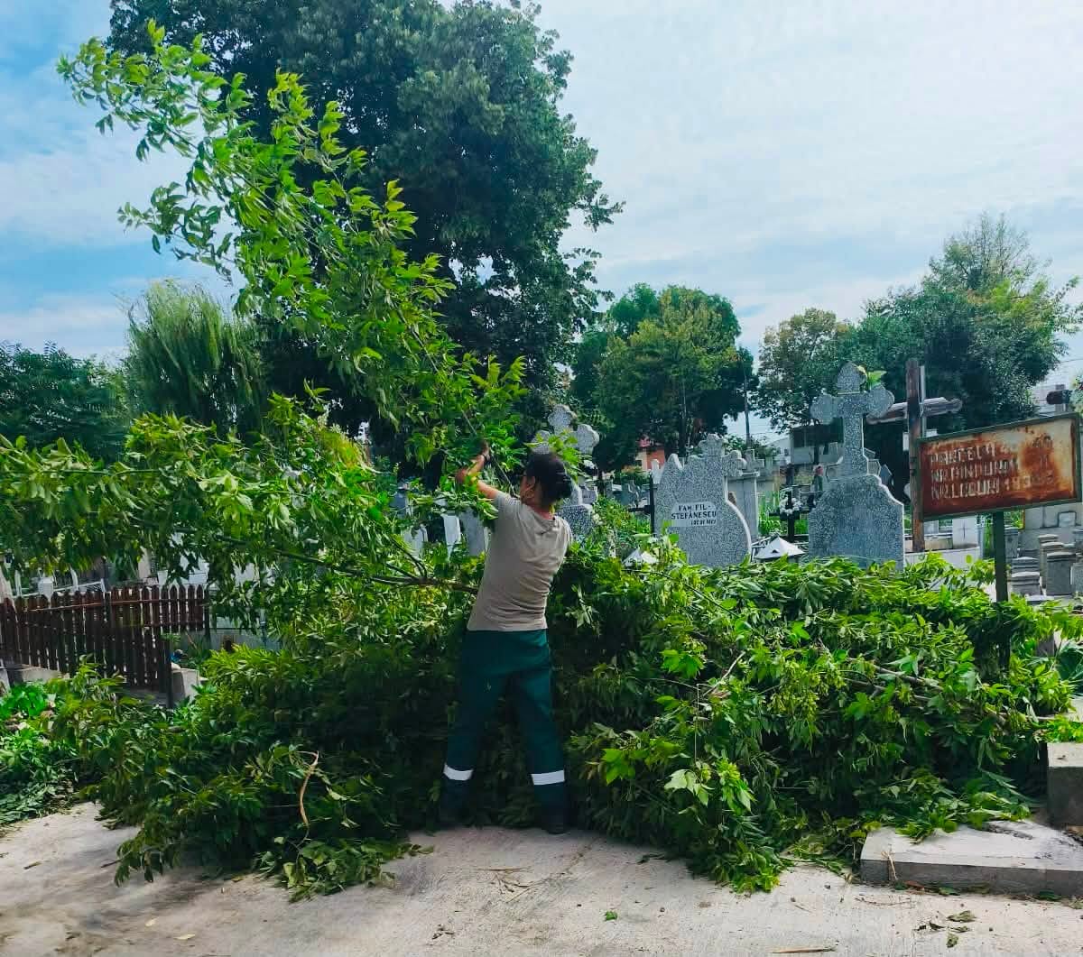 LUCRĂRI ÎN CIMITIRE: Curățenie și erbicidare de amploare la „Eternitatea”. Zeci de parcele au fost tratate împotriva buruienilor