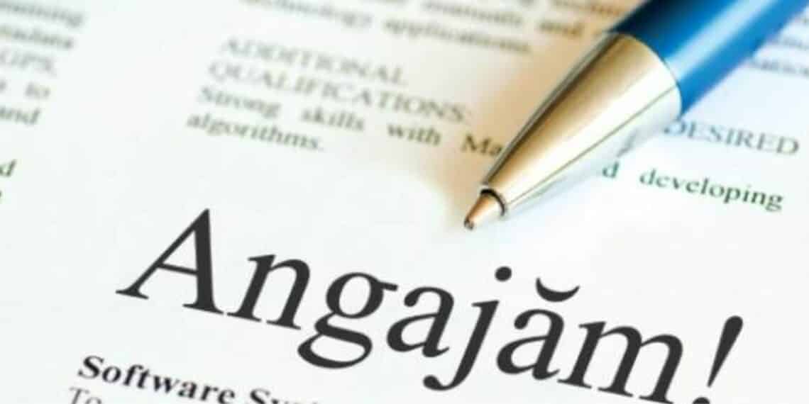 Absolvenţii pot primi şomaj timp de şase luni şi bonusuri de până la 1.250 de lei pe lună dacă se angajează