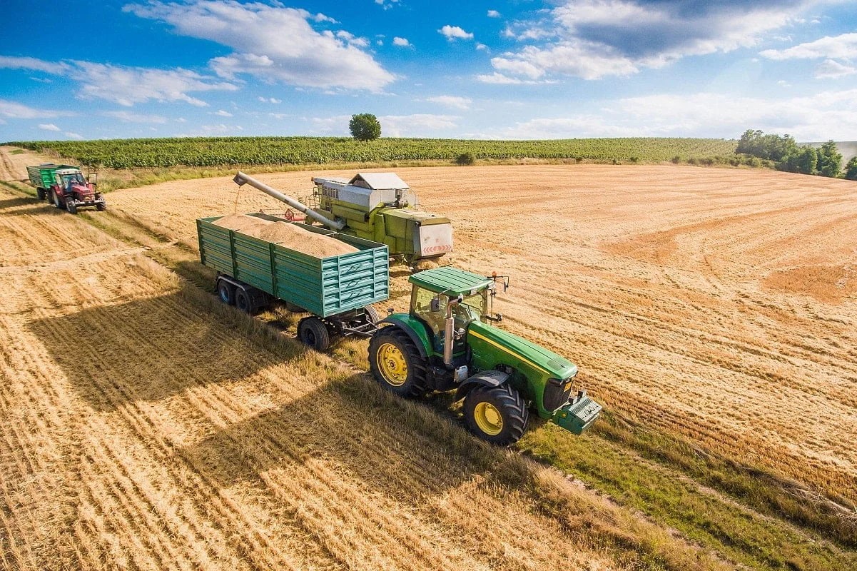 Agricultura României a revenit puternic în 2025: producţia a crescut cu 17%, dar nu a recuperat încă nivelul din 2023