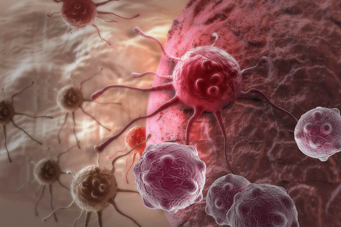 Studiu: O singură celulă stem ar putea genera peste 14 milioane de celule care luptă împotriva cancerului