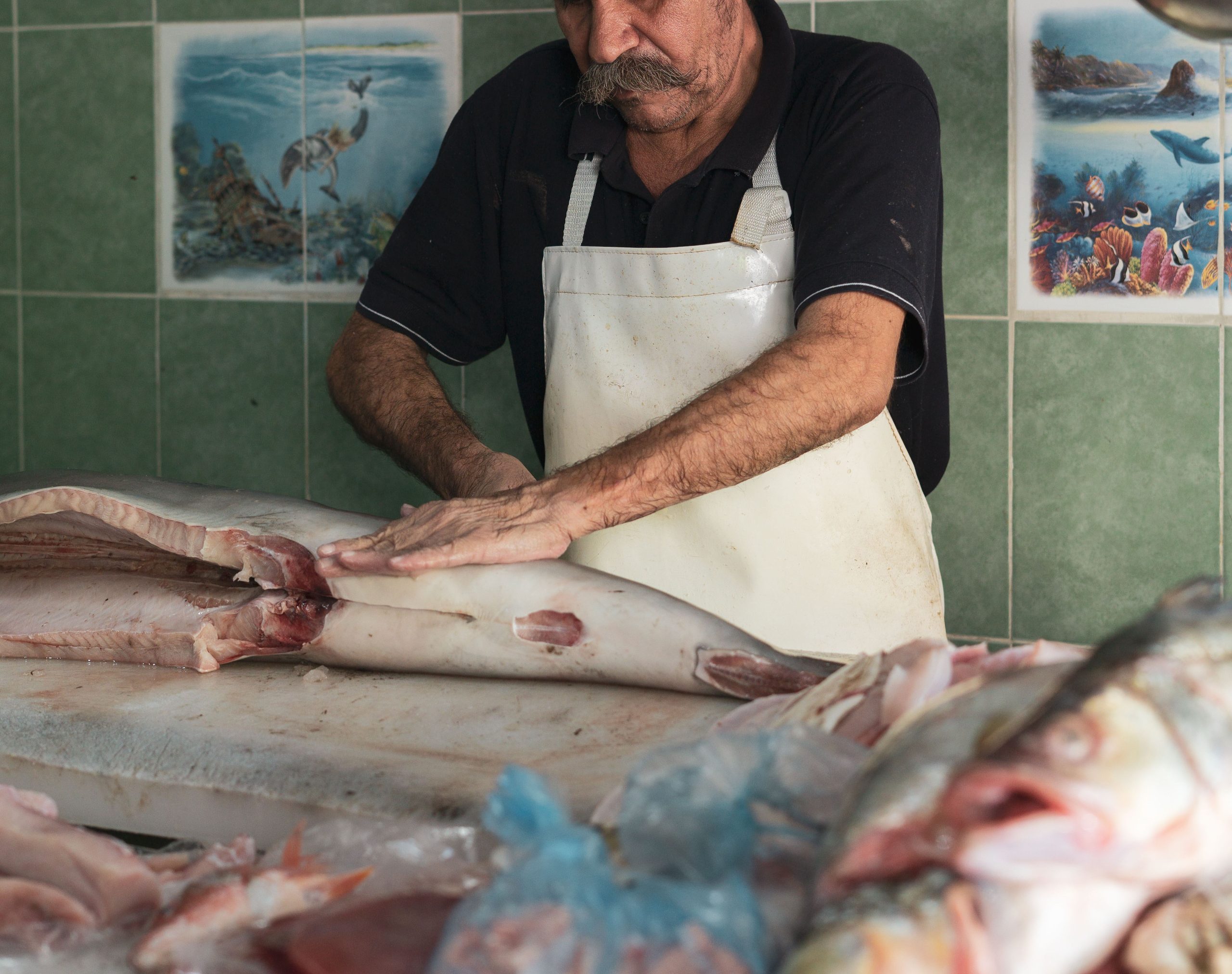 Controale ale Poliţiei Economice la pescării din Sulina