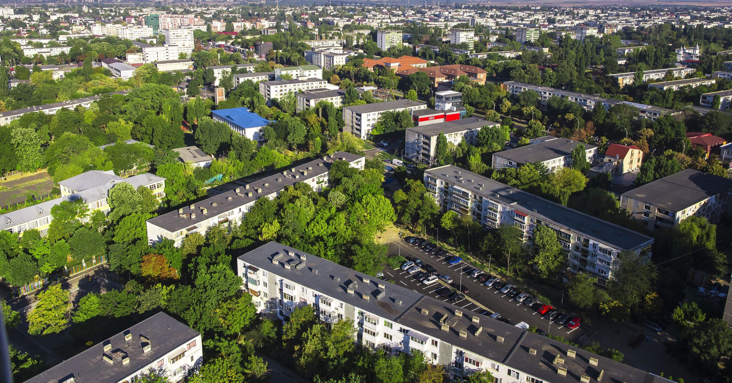 Galațiul, cu noile păduri urbane, devine tot mai verde