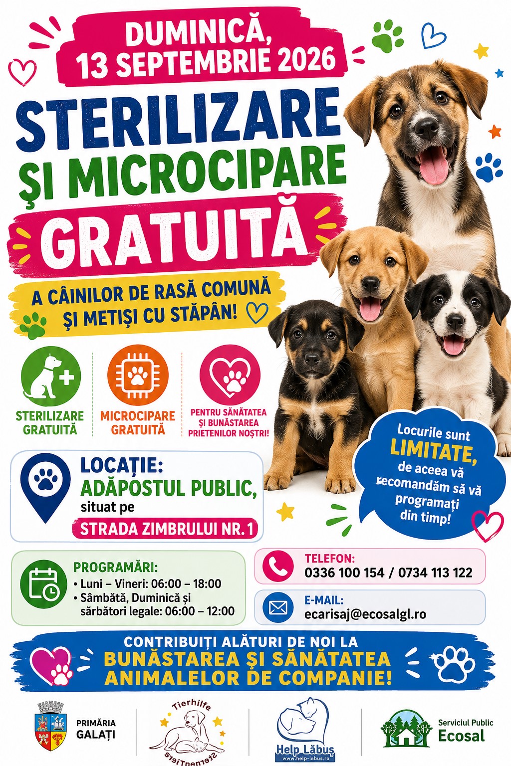 SP Ecosal Galaţi: Campanie de sterilizare şi microcipare GRATUITĂ a câinilor de rasă comună şi metişi cu stăpân!