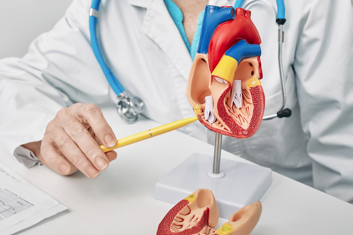 Cardiologii recomandă un aliment pe care să-l consumi de două ori pe săptămână pentru sănătatea inimii