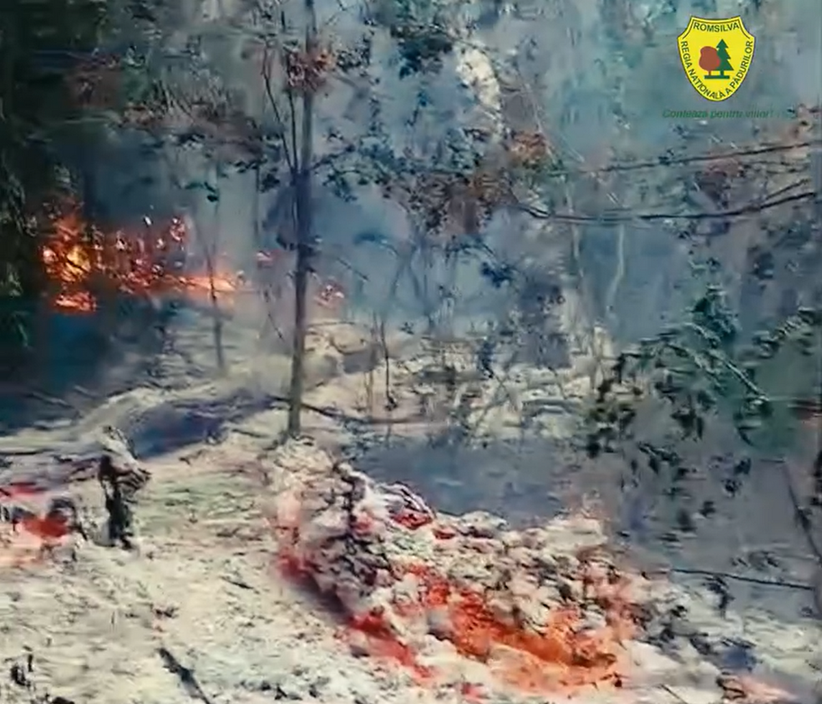 Incendiu puternic de pădure la Plauru: Romsilva suspectează explozia unei drone, specialiștii MApN trimiși la fața locului