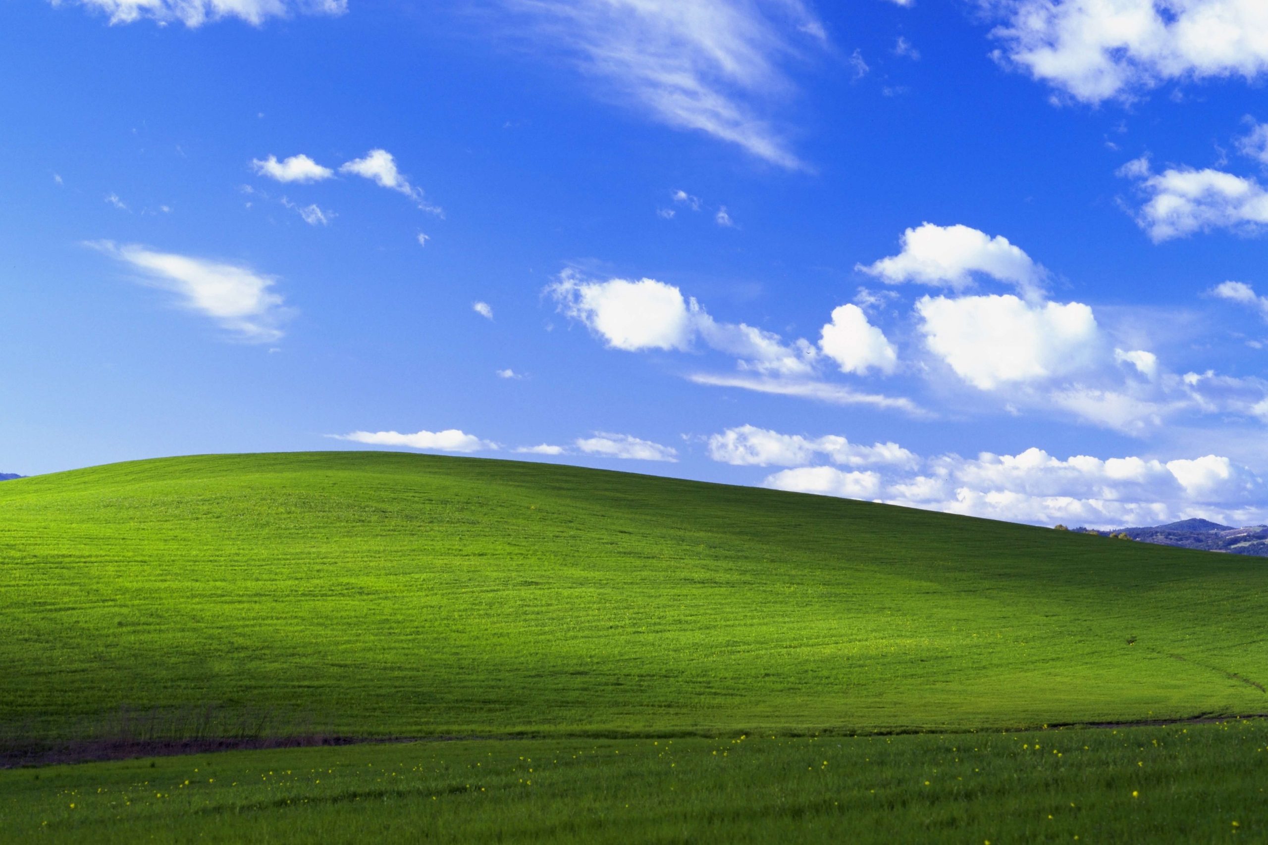 Windows XP împlineşte 25 de ani