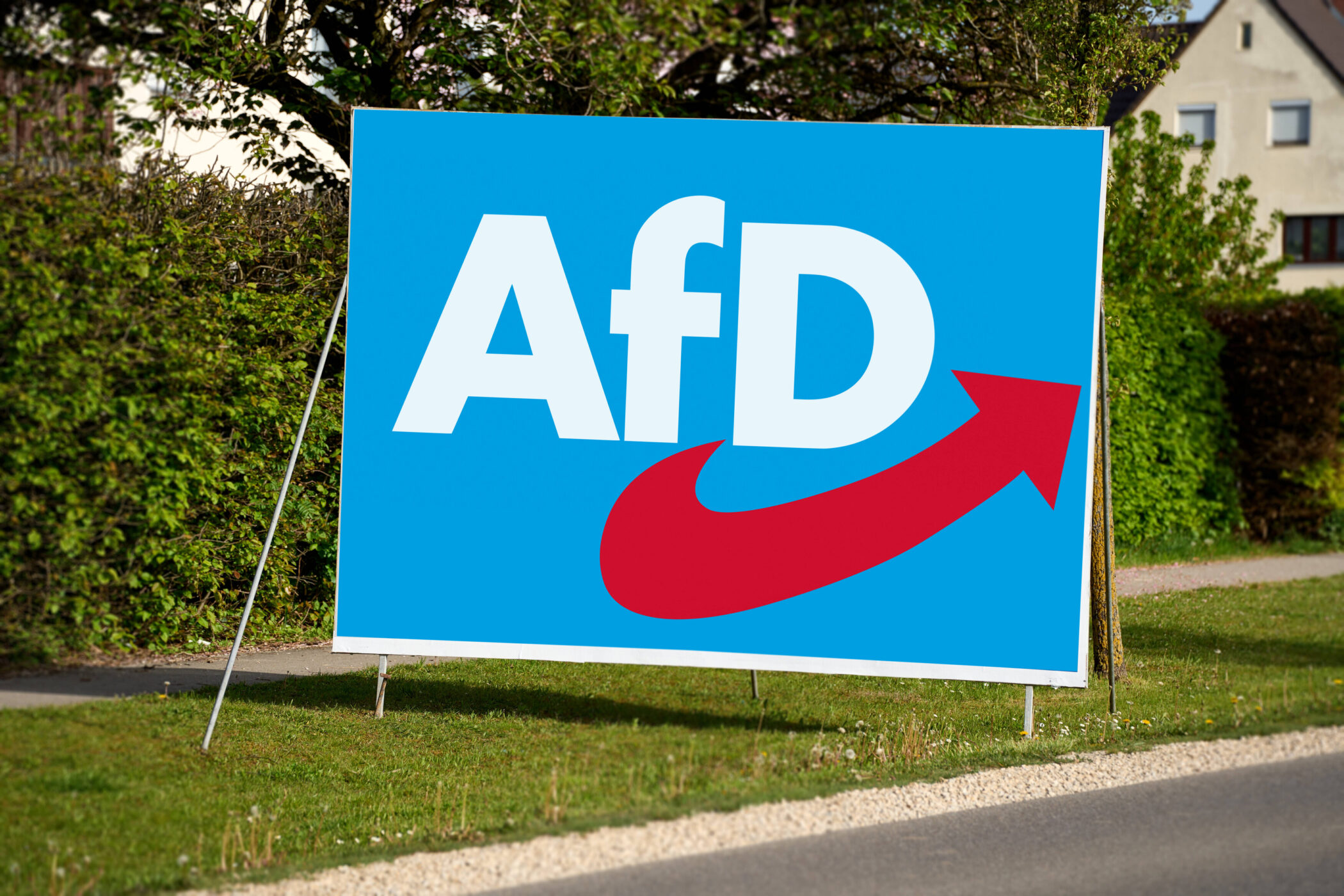 Victorie istorică pentru partidul de extremă dreapta Alternativa pentru Germania AfD în Saxonia-Anhalt