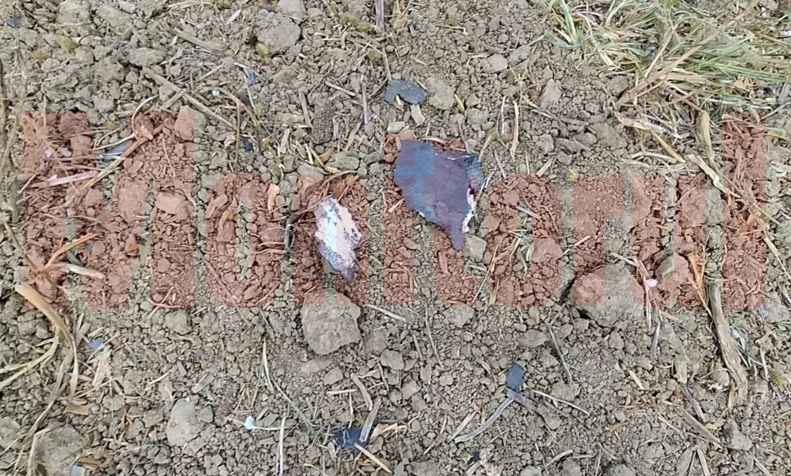 Imagini cu posibilele fragmente descoperite în Insula Mare a Brăilei. Echipele de investigație au părăsit zona