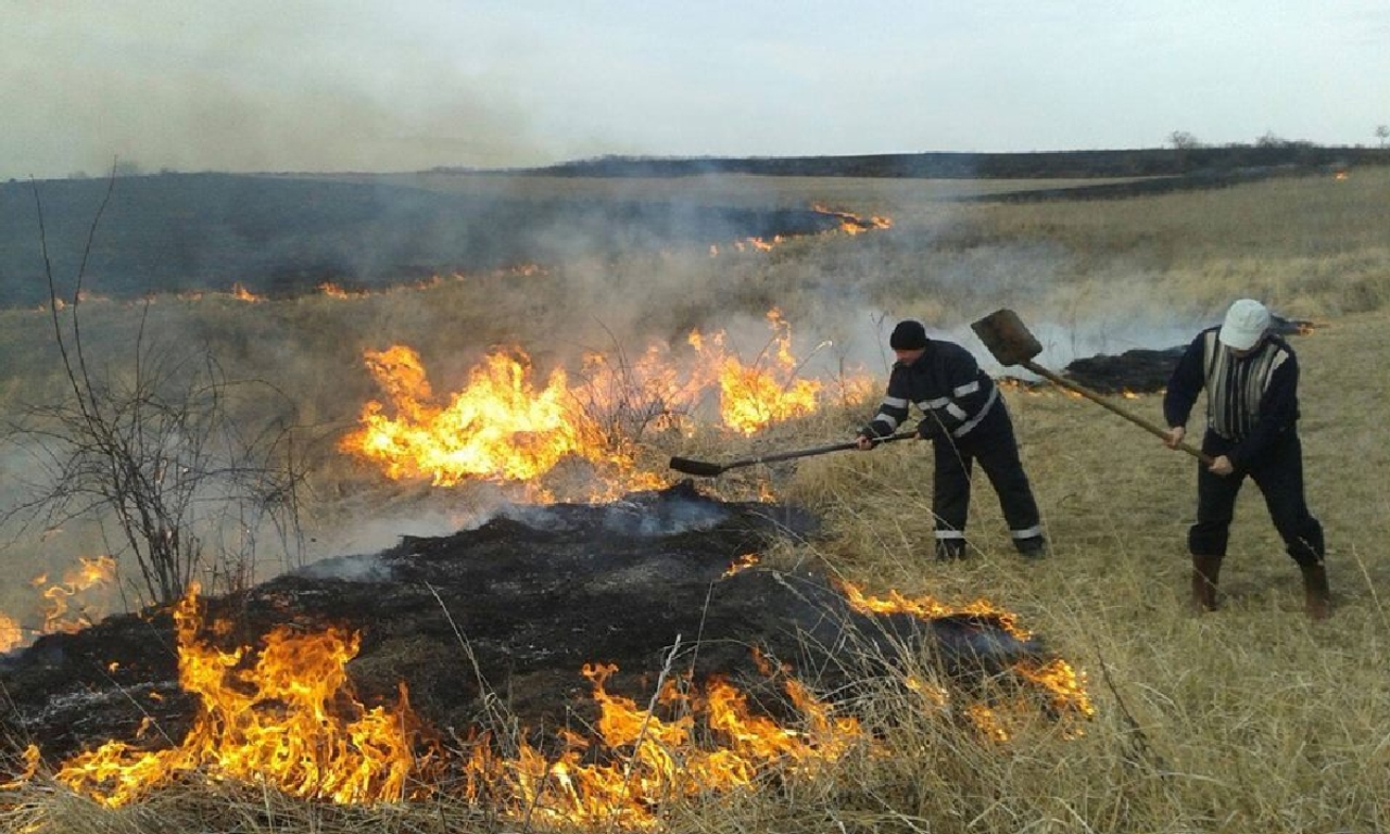 Bilanţ îngrijorător la nivel naţional: Peste 10.000 de incendii de vegetaţie în primele opt luni din 2026, în ciuda eforturilor pompierilor