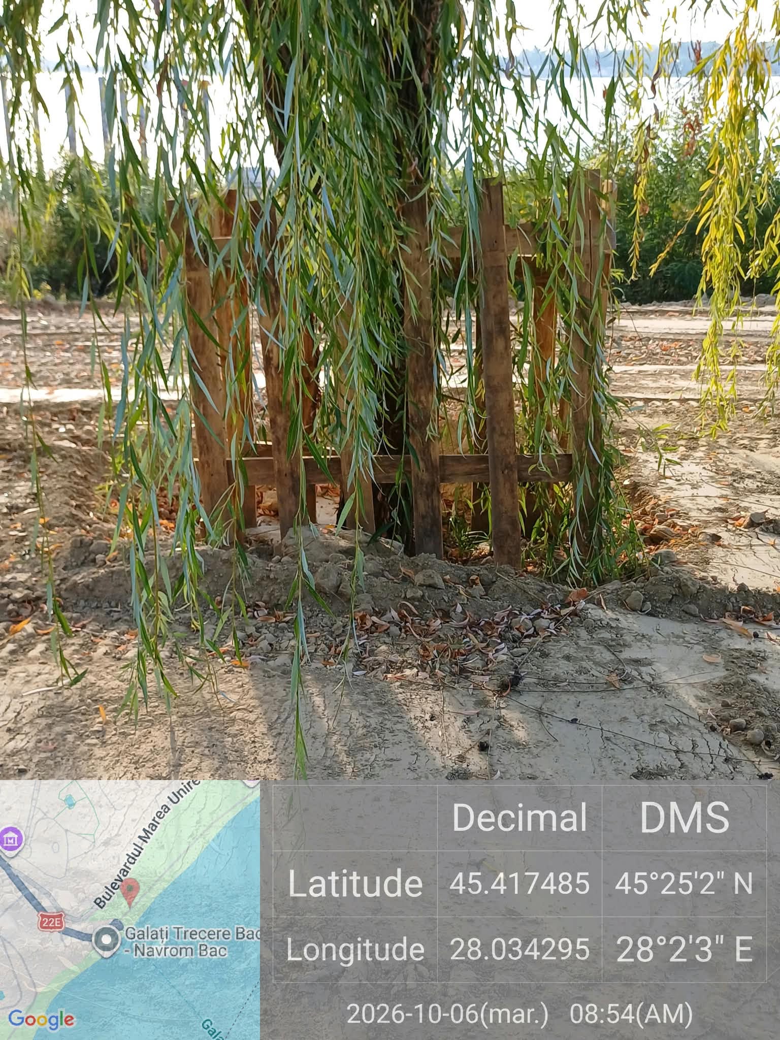 Reacția Primăriei Galați după amenda Gărzii de Mediu: Lucrările de pe Faleză continuă și nu au fost găsite nereguli la arbori