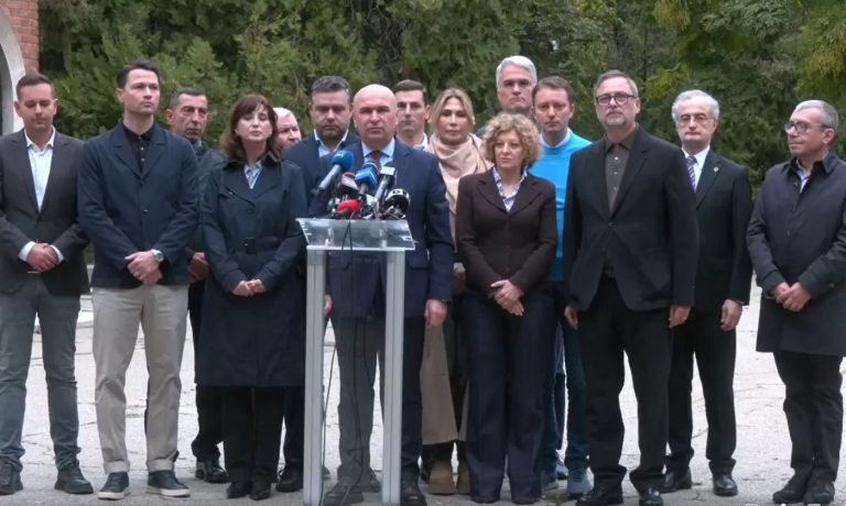 PNL votează Guvernul Luca Niculescu, dar trece în opoziţie