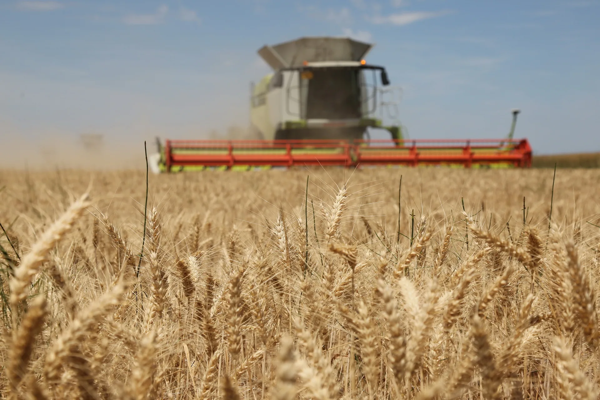 Avertisment fără precedent pentru agricultură: Seceta extremă şi canicula decimează culturile de grâu, iar irigaţiile îşi pierd eficienţa