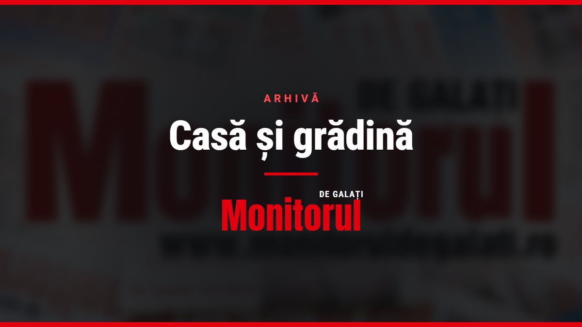 O vopsea creată cu ajutorul inteligenţei artificiale poate reduce radical temperatura clădirilor şi consumul de energie