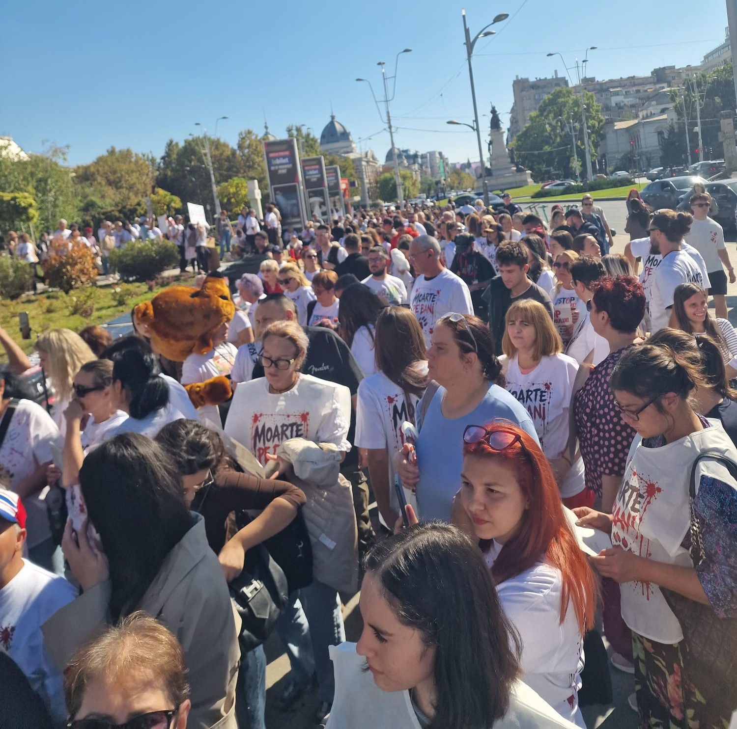Protest național de Ziua Mondială a Animalelor: Asociația „Help Lăbuș” Galați cere oprirea masacrului din adăposturi și măsuri reale de prevenție